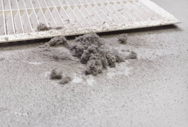 Best Air Duct Cleaning Near Me  in Canby, MN
