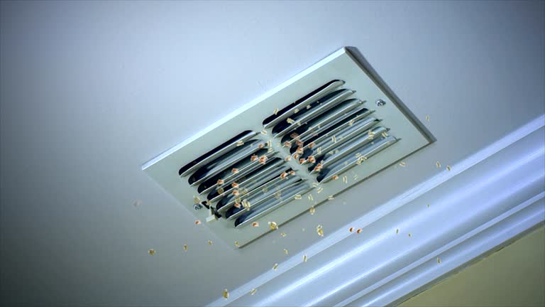 Best Ductwork Cleaning Services  in Canby, MN