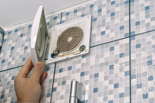 Best Home Air Vent Cleaning  in Canby, MN