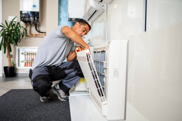 Best Local Air Duct Cleaning Services  in Canby, MN