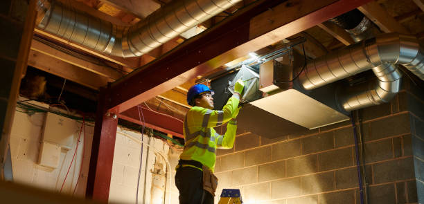 Best Dryer Vent Cleaning Services  in Canby, MN