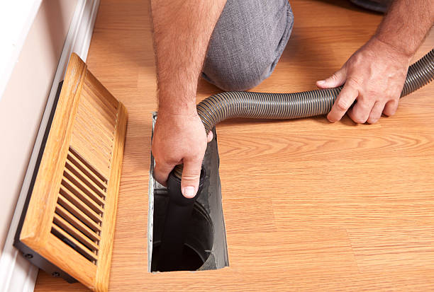 Best Home Air Vent Cleaning  in Canby, MN
