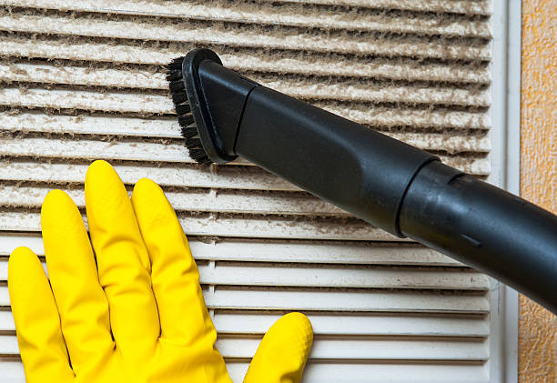 Best Air Duct Cleaning Company Near Me  in Canby, MN